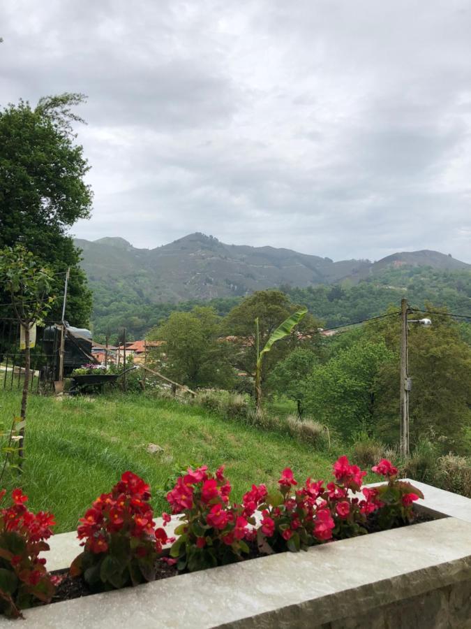 Alojamiento Rural Cosorios Cangas de Onis Bagian luar foto